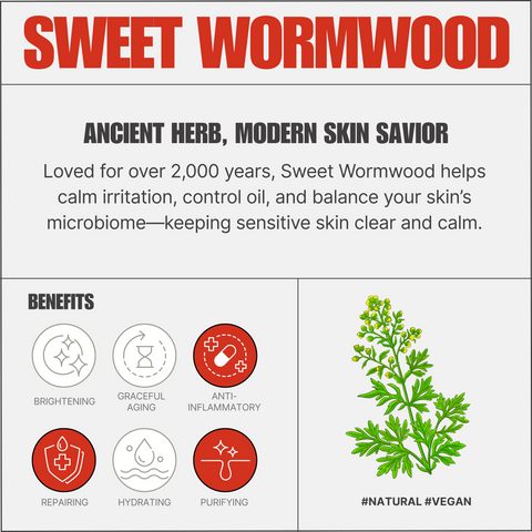 Sweet Wormwood