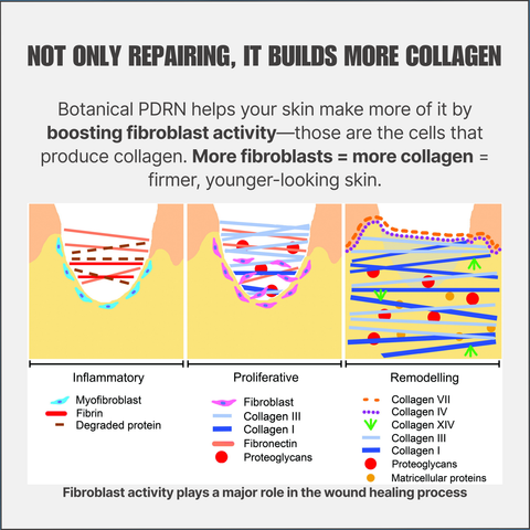 Botanical PDRN