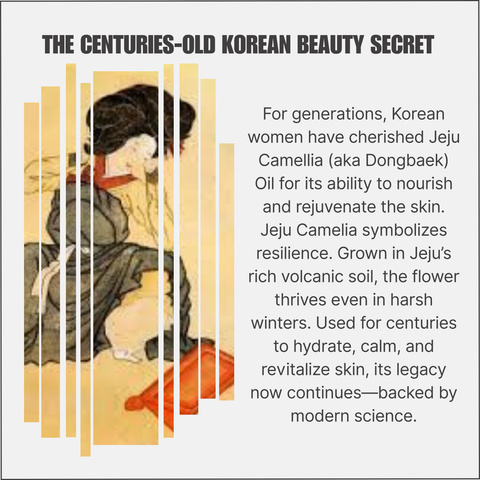 Jeju Camellia Oil