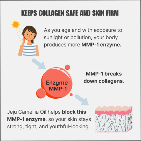 Jeju Camellia Oil