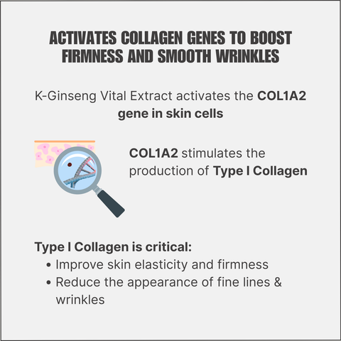 K-Ginseng Vital Extract