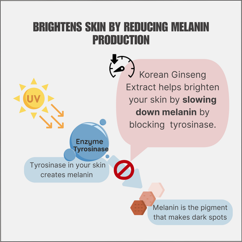 K-Ginseng Vital Extract
