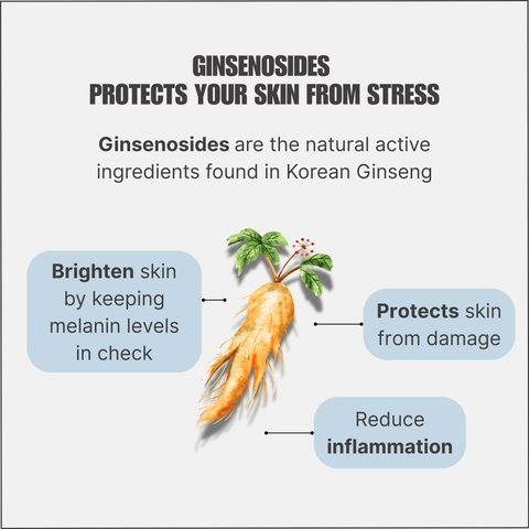 K-Ginseng Vital Extract