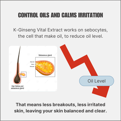 K-Ginseng Vital Extract