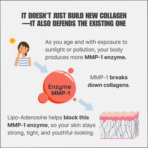 Lipo-Adenosine