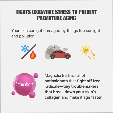 Magnolia Bark Extract