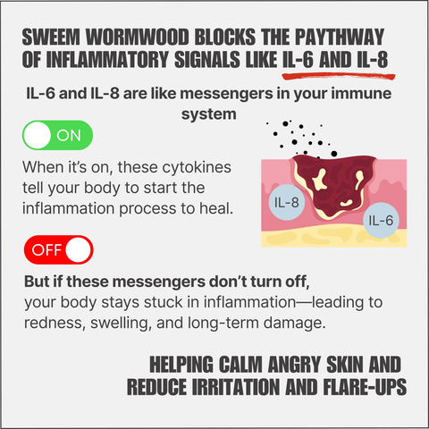 Sweet Wormwood